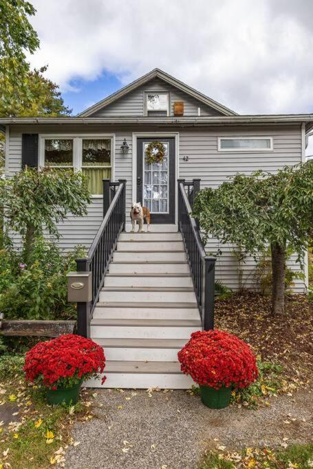 הוילה פורטלנד Single Family W/ Fenced In Yard מראה חיצוני תמונה